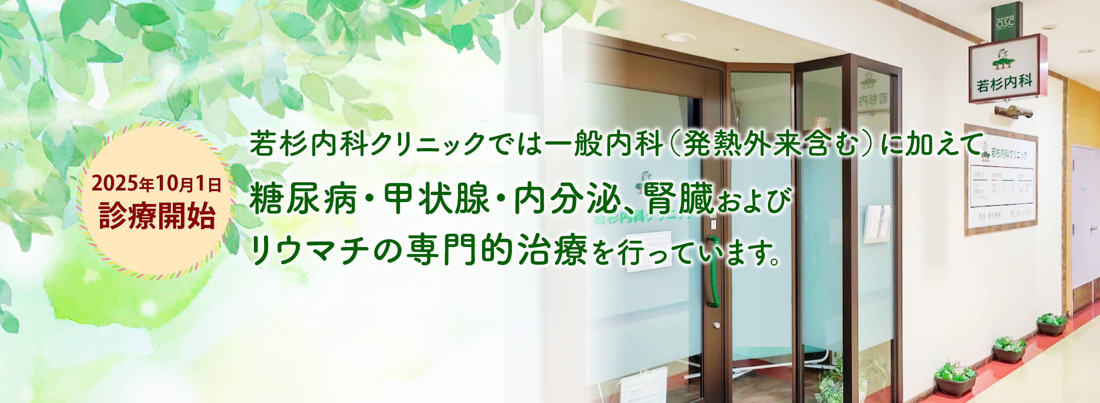 若杉内科